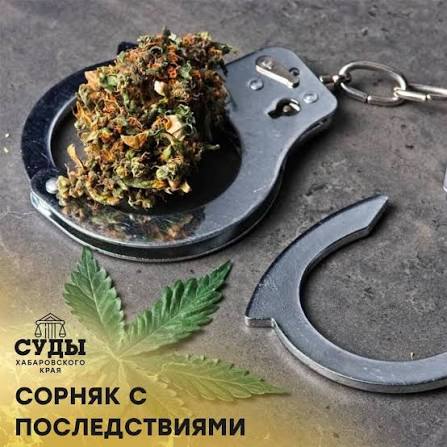 Верховный суд РФ выступил с инициативой о смягчении уголовной ответственности за хранение наркотиков.